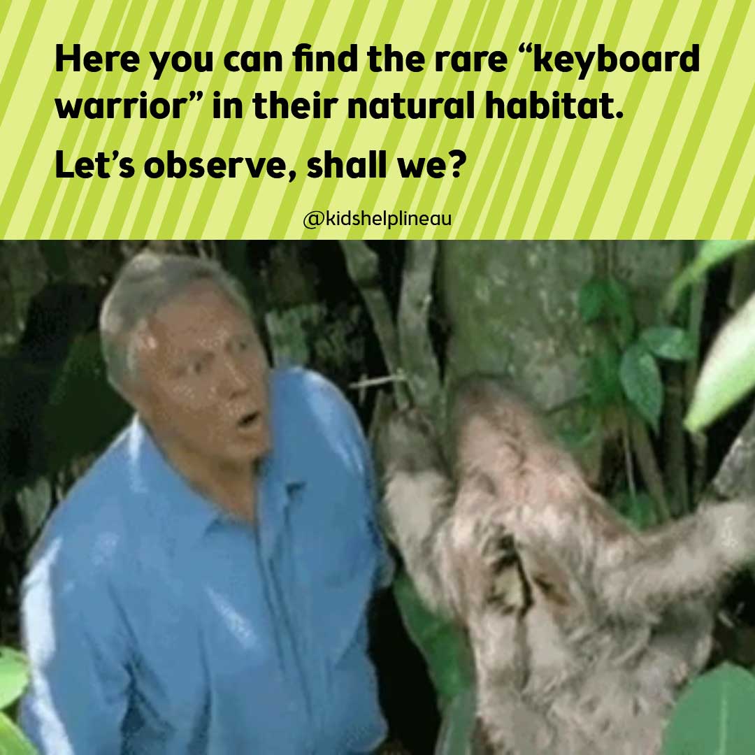 David Attenborough saying "Here we see the rare keyboard warrior in its natural habitat. Let's observe shall we?"