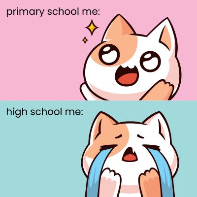 Primary school me vs High school me with cats